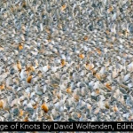 A Surge of Knots by David Wolfenden, Edinburgh