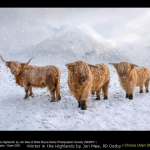 Winter in the Highlands by Jon Mee, RR Derby