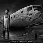 Survivor by Barry Mead, Bristol