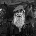 Horse Whisperer by Adrian Lines, Chorley