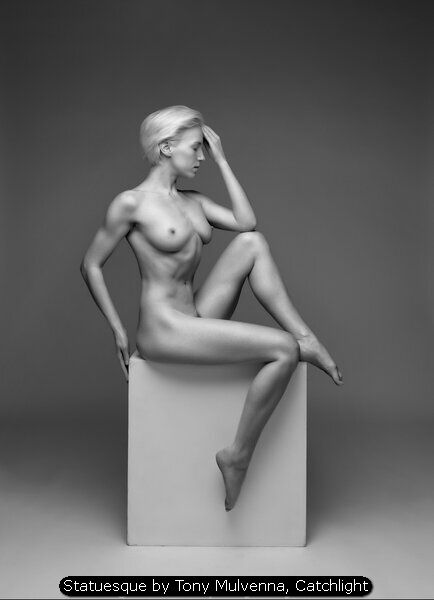 Statuesque by Tony Mulvenna, Catchlight