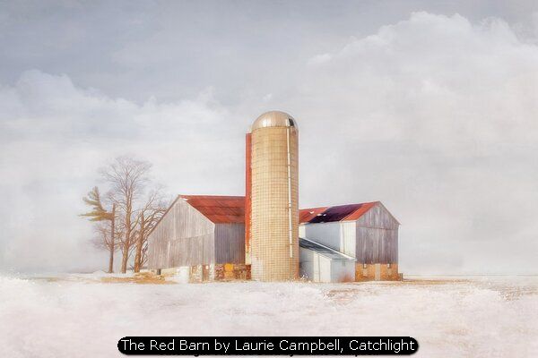 The Red Barn by Laurie Campbell, Catchlight
