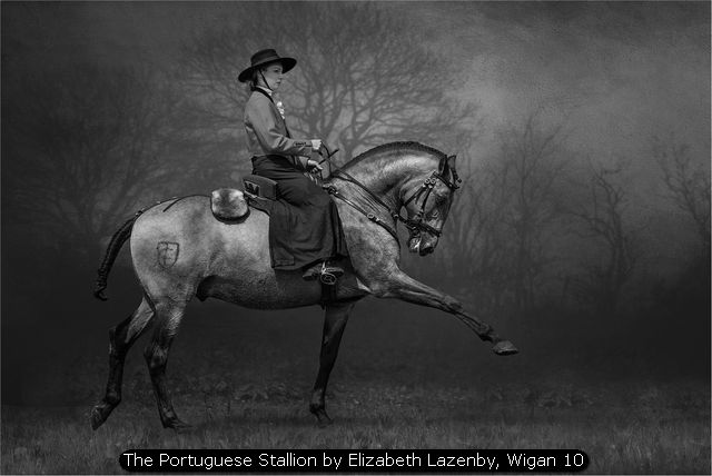 The Portuguese Stallion by Elizabeth Lazenby, Wigan 10