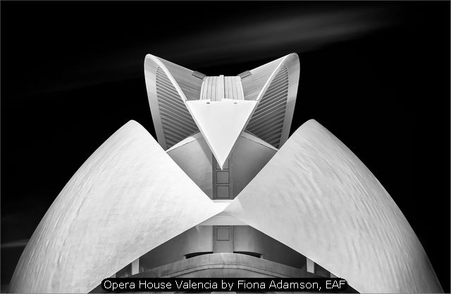 Opera House Valencia by Fiona Adamson, EAF