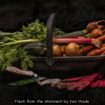 Fresh from the Allotment by Ken Wade