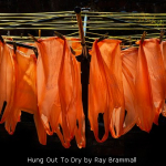 Hung Out To Dry by Ray Brammall
