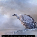 Master of All He Surveys by Laurie Campbell, Catchlight CC