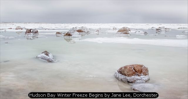 Hudson Bay Winter Freeze Begins by Jane Lee, Dorchester