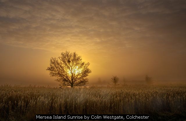 Mersea Island Sunrise by Colin Westgate, Colchester